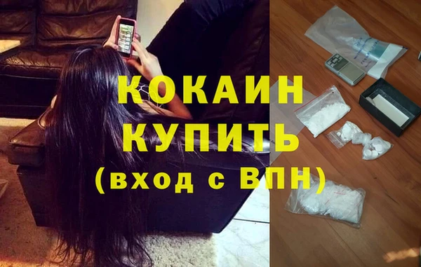 дмт Кукмор