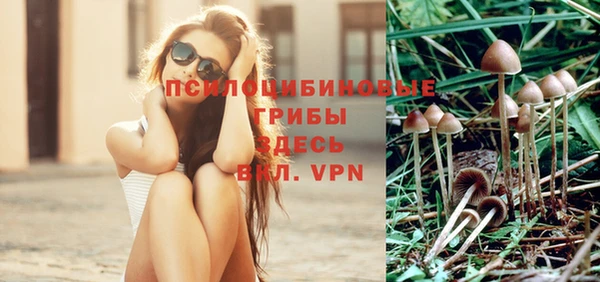 крисы Одинцово